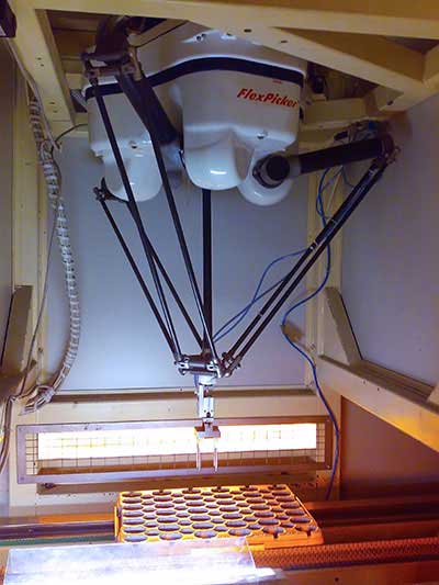 Packaging Robot with Vision System